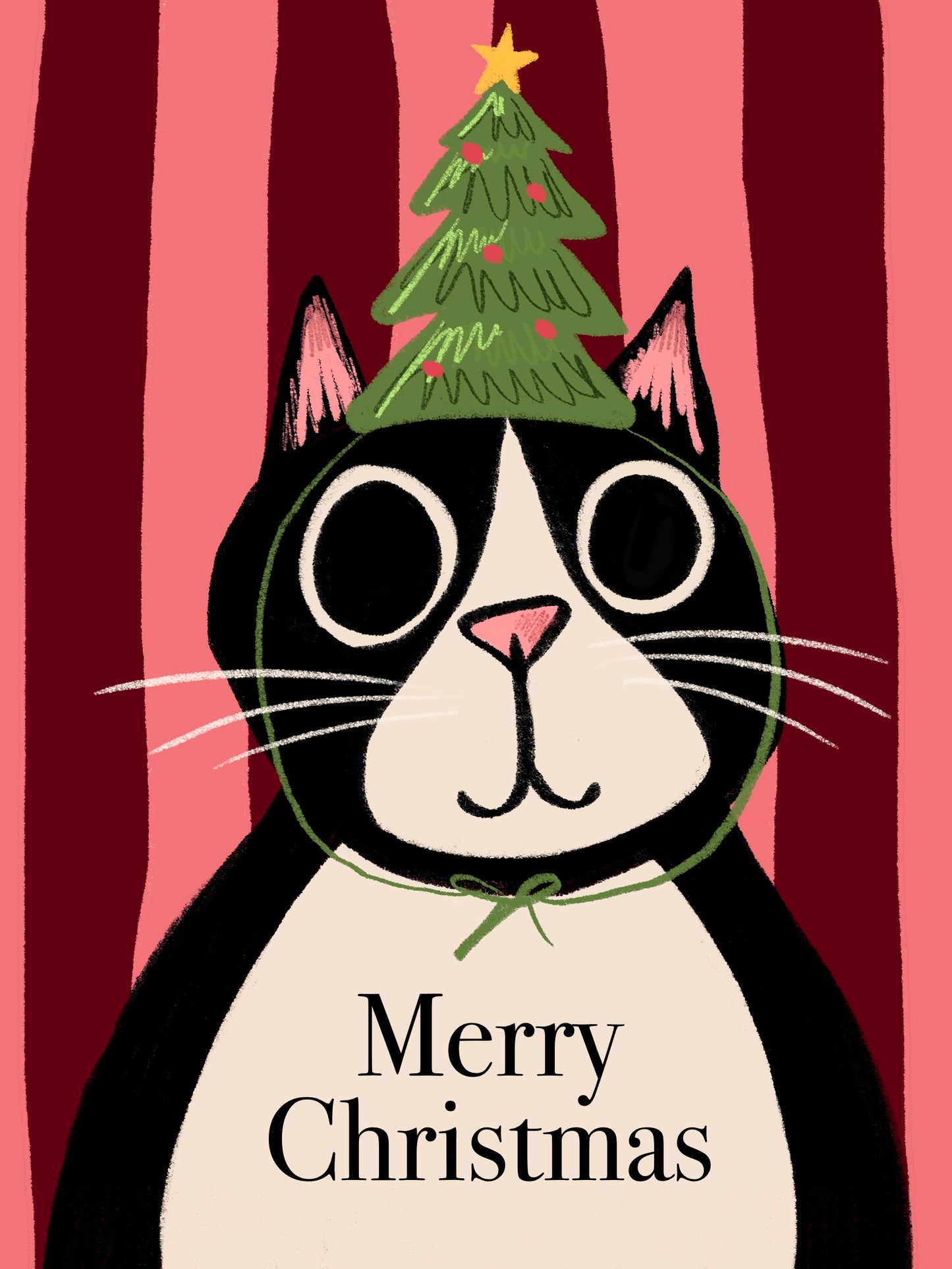 Merry Christmas Cat